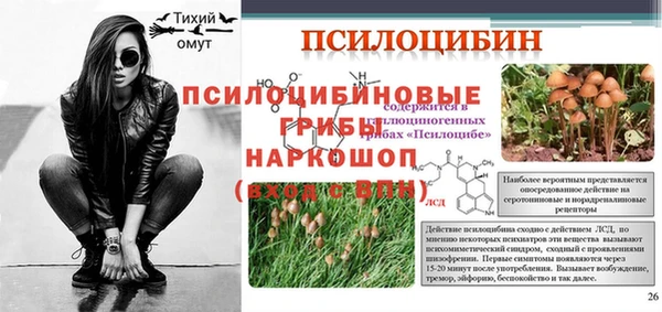 стаф Абинск