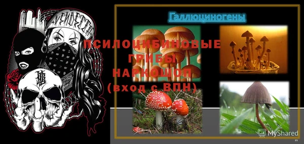 стаф Абинск