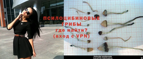 Альфа ПВП Алзамай