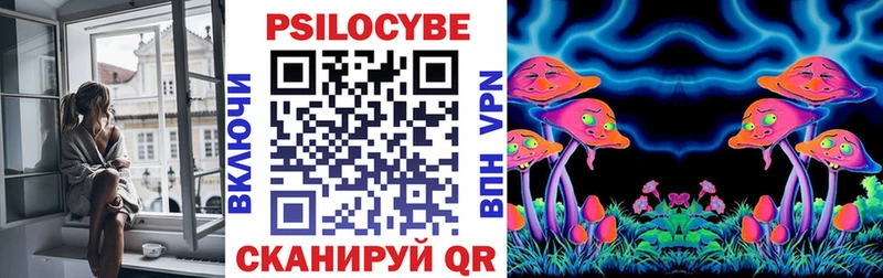 наркота Киржач Псилоцибиновые грибы Psilocybe