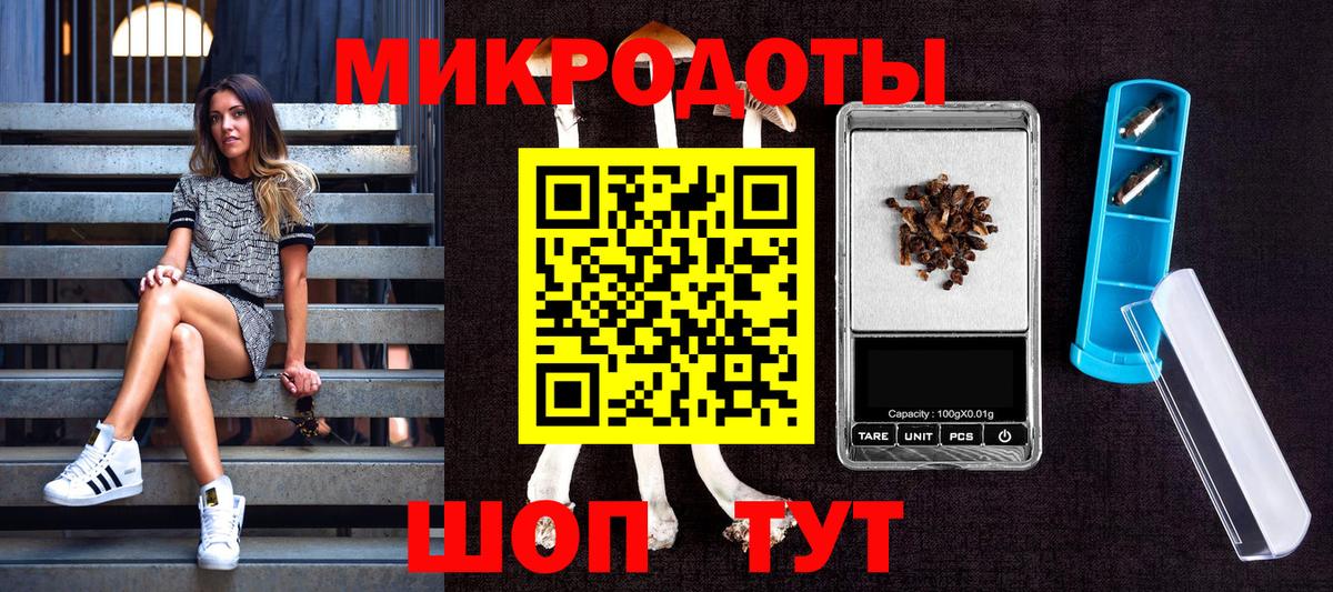 Псилоцибиновые грибы прущие грибы  Вход с VPN  Киржач  Галлюциногенные грибы Psilocybe 