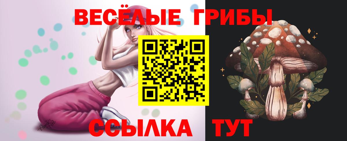 Псилоцибиновые грибы Psilocybine cubensis Киржач